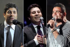 تضامنا مع ضحايا الزلزال في تركيا وسوريا.. إلغاء حفلات لفنانين عرب في عدد من الدول