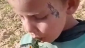 فيديو لطفل فلسطيني يأكل العشب من الجوع.. يثير زوبعة