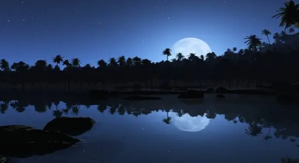 You are currently viewing فضل ليلة النصف من شعبان