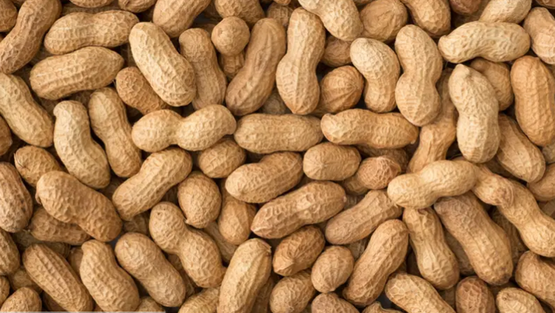 You are currently viewing أستراليا تطلق أول علاج فموي لحساسية الفول السوداني في العالم