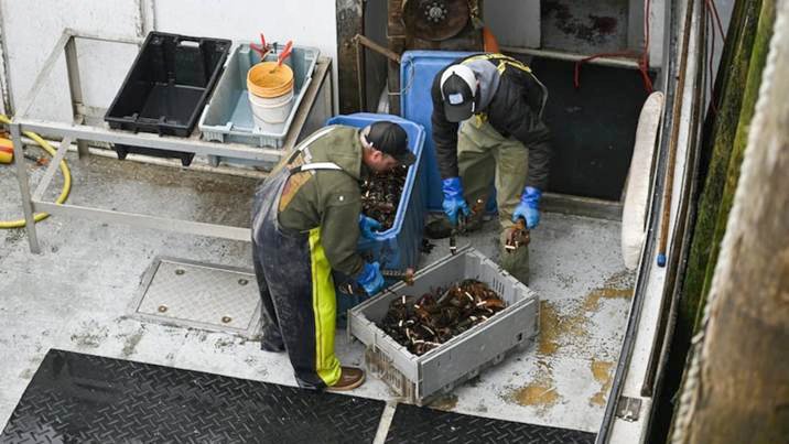 You are currently viewing Canadian seafood industry ’relieved’ with removal of their products from retaliatory tariff list